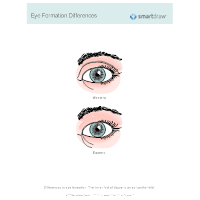 Eye Formation Differences