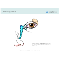 Lacrimal Apparatus - 1