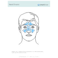 Nasal Sinuses
