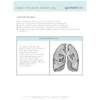 Organs That Can Be Donated - Lung