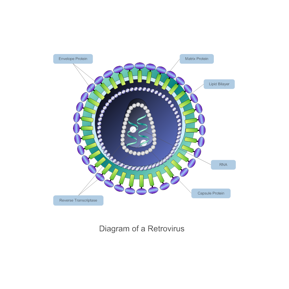 Example Image: Retrovirus Diagram