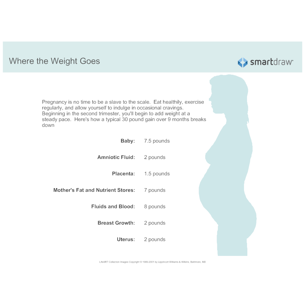 Example Image: Where the Weight Goes