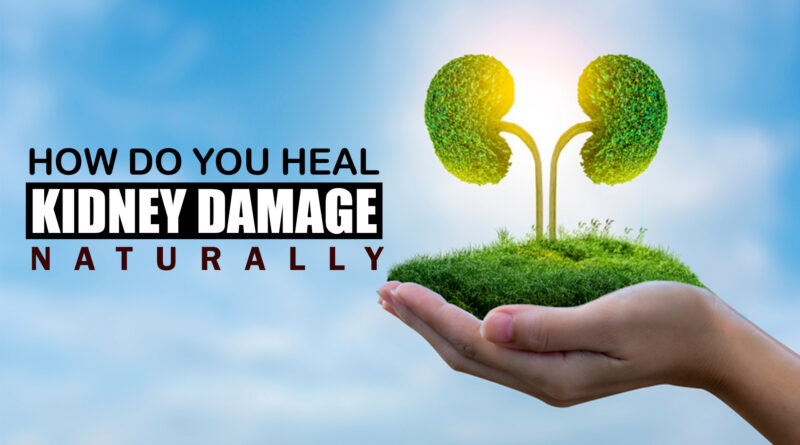 How do you Heal Kidney Damage Naturally