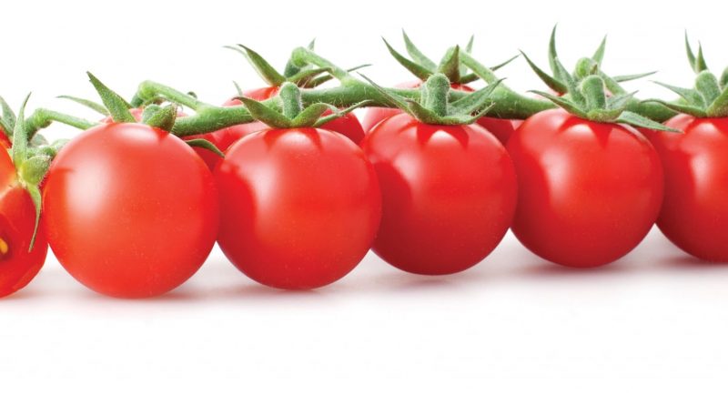reasons tomatoes included diet