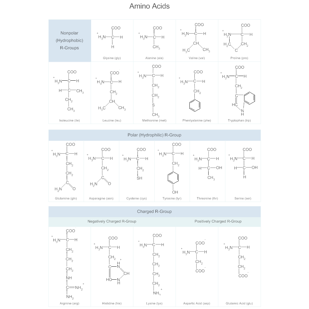 Example Image: Amino Acids Chart