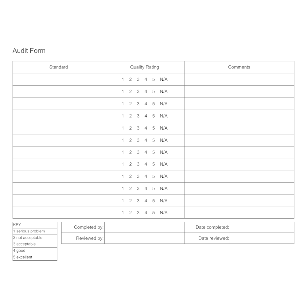 Example Image: Audit Form Example