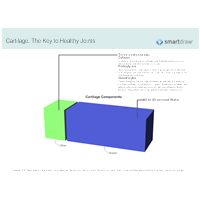 Cartilage - The Key to Healthy Joints