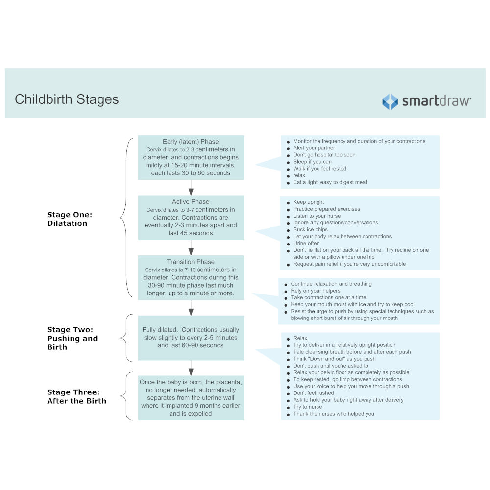 Example Image: Childbirth Stages