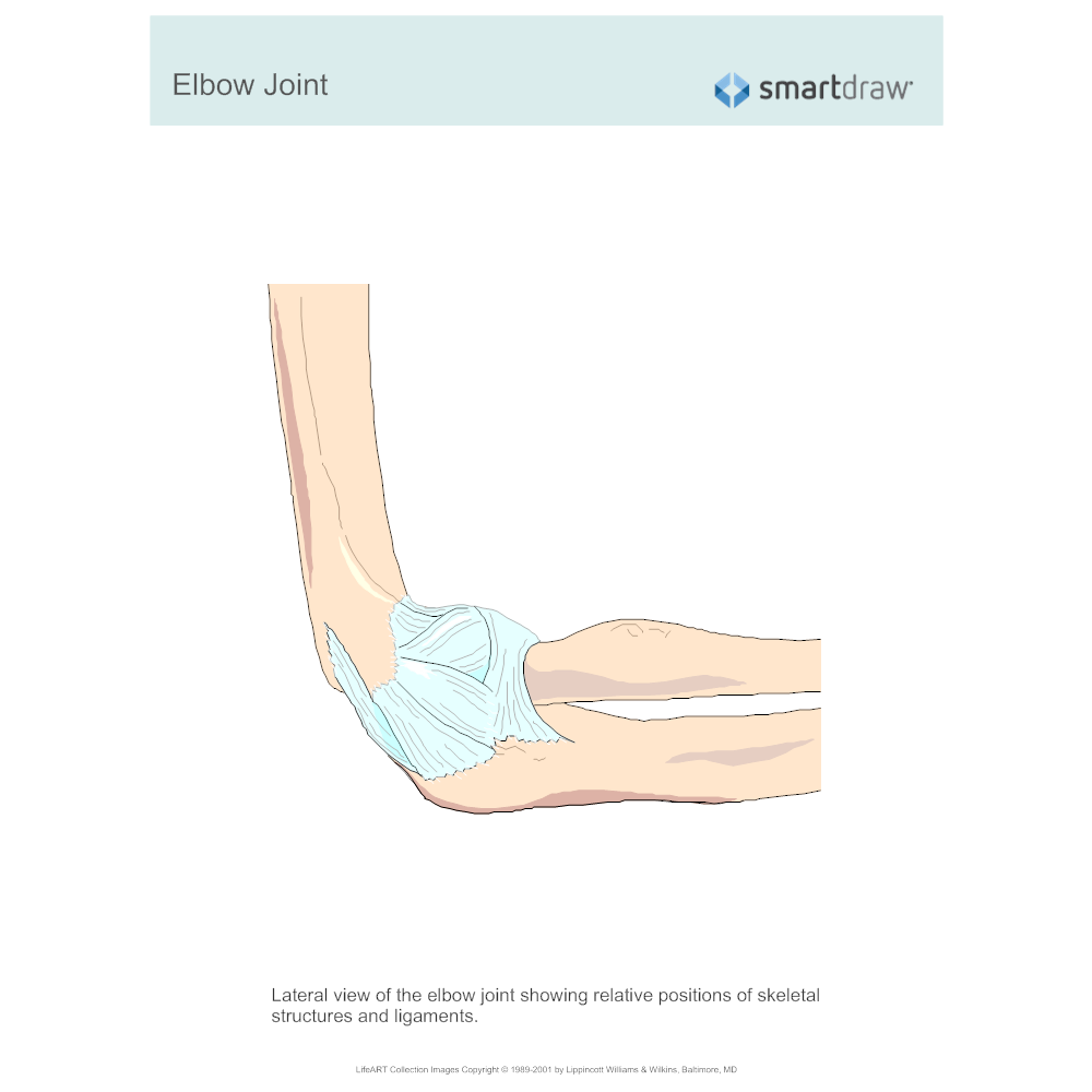 Example Image: Elbow Joint