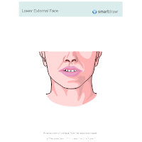Lower External Face