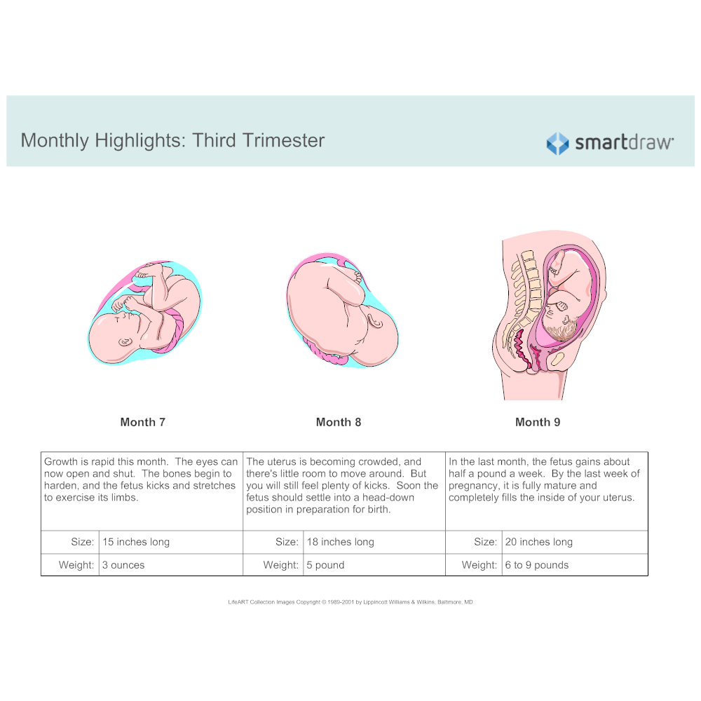 Example Image: Monthly Highlights - Third Trimester