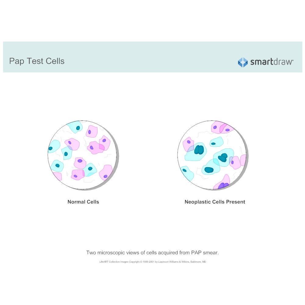 Example Image: Pap Test Cells