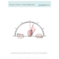 Range of Motion - Distal Radioulnar