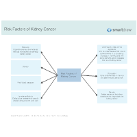 Risk Factors of Kidney Cancer