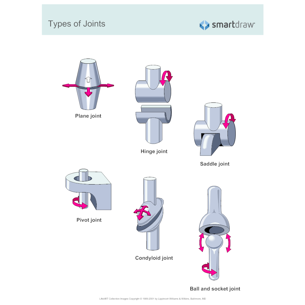Example Image: Types of Joints